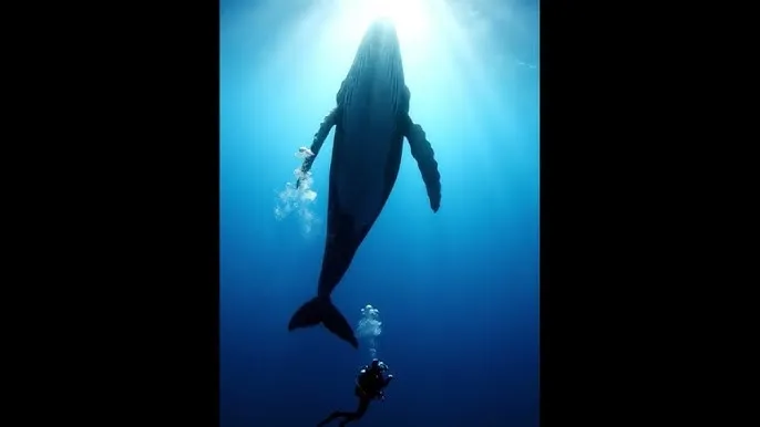 CM-166七夕-潘甜甜 - 深蓝星球：探索海洋深处的未知世界